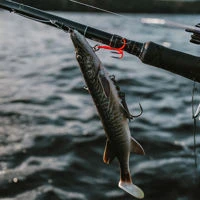 Savage Gear 3D Pike Shads 20cm/65g